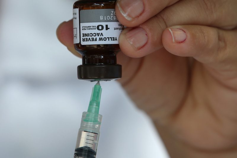 Organizaciones alertan sobre el inicio de una epidemia de fiebre amarilla en Venezuela